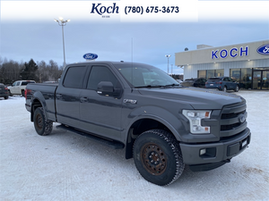 2015 Ford F-150 F150