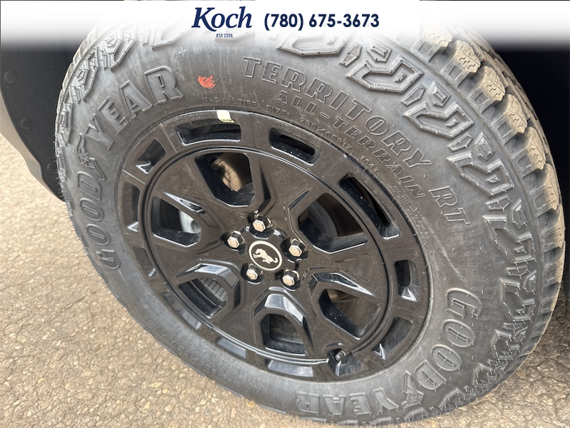 NEW 2025 Ford Bronco Sport Badlands - Ruby Red Tri-coat Metallic Exterior / DARK SPACE GREY LEATHER Interior - $54,660 - Stock #A25287 - VIN 3FMCR9DA6SRF73963 - Photo 36