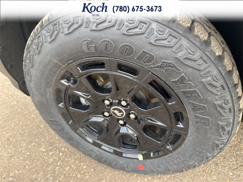 NEW 2025 Ford Bronco Sport Badlands - Carbonized Grey Metallic Exterior / DARK SPACE GREY LEATHER Interior - $54,615 - Stock #A25286 - VIN 3FMCR9DA8SRF75018 - Photo 36