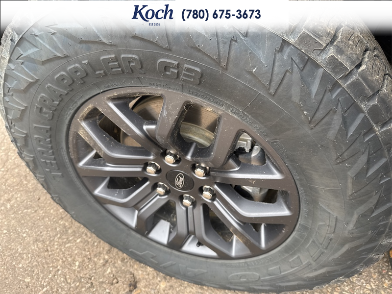 USED 2025 Ford F-150 Tremor - Carbonized Grey Metallic Exterior - $74,995 - Stock #A26160A - VIN 1FTFW4L8XSFA42192 - Photo 38