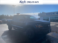 2026 Ford F-150 STX 1