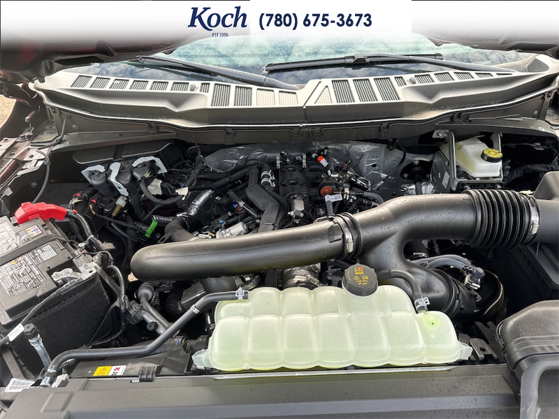 NEW 2026 Ford F-150 XLT - Ruby Red Metallic Tinted Clearcoat Exterior - $70,459 - Stock #A26100 - VIN 1FTFW3L84TKD52776 - Photo 33