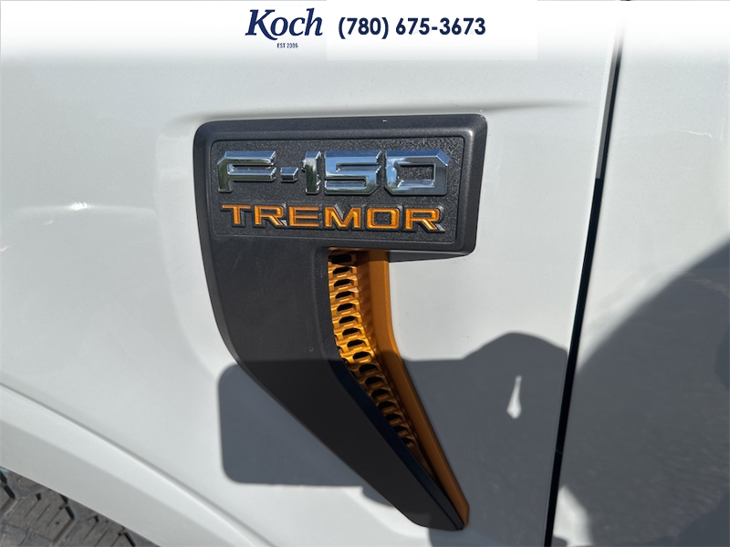 NEW 2026 Ford F-150 Tremor - Avalanche Exterior / BLACK SPORT CLOTH Interior - $81,465 - Stock #A26253 - VIN 1FTFW4L80TFA41635 - Photo 35