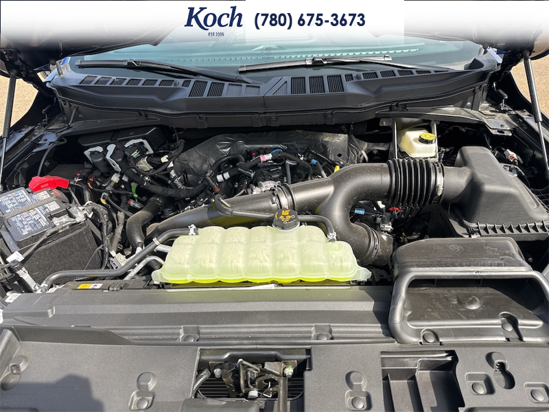 NEW 2026 Ford F-150 STX - Argon Blue Metallic Exterior / BLACK ONYX/BLUE PREM LEATHER SEATS Interior - $63,952 - Stock #A26161 - VIN 1FTEW2LP7TKD68368 - Photo 30